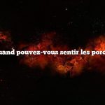 Question : Quand pouvez-vous sentir les porcelets bouger